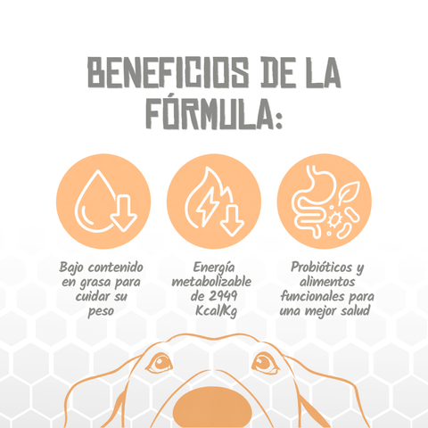 Lenda VET Slimming & Sterilized