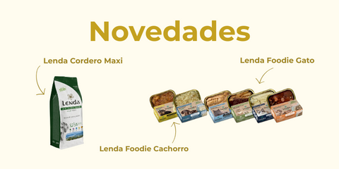 Banner nuevos productos Lenda Shop