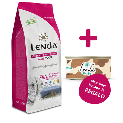 Lenda Puppy Maxi