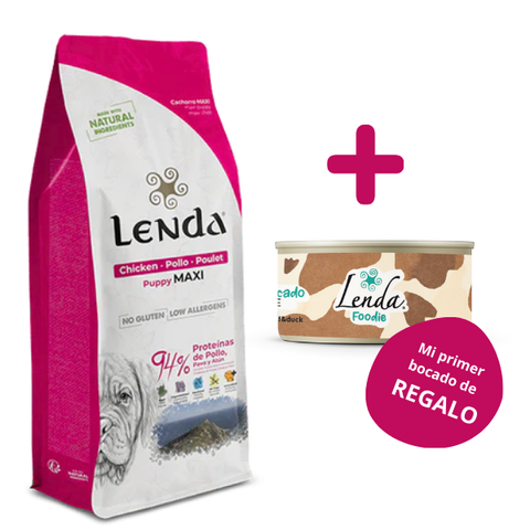 Lenda Puppy Maxi