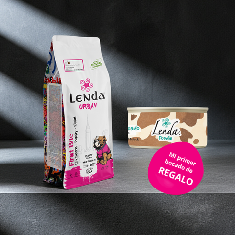 Lenda Urban Puppy