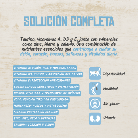 Lenda Paté Gato Cerdo con Pavo y Arándanos