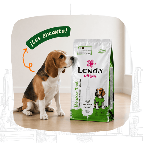 Lenda Urban Meadow Taste - Cordeiro