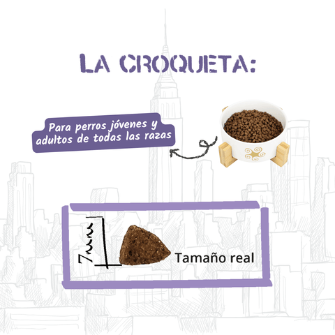 Lenda Urban Gato Diet & Sterilized