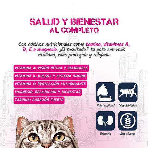 Lenda Urban Paté Gato de Pollo con Buey y Arándanos