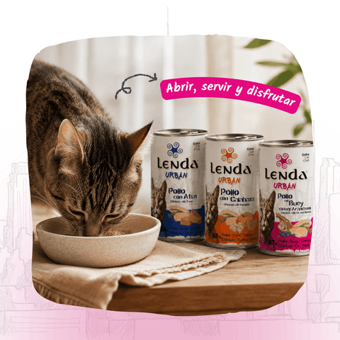 Lenda Urban Paté Gato de Pollo con Buey y Arándanos