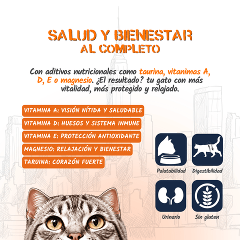 Lenda Urban Paté Gato de Pollo con Calabaza