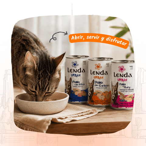 Lenda Urban Paté Gato de Pollo con Calabaza