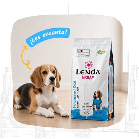 Lenda Urban Flavored Diet - Light 