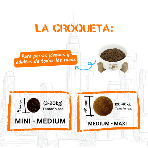 Lenda Urban Marine Flavour - Peixe Azul