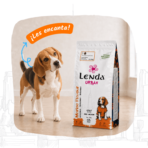 Lenda Urban Marine Flavour - Peixe Azul