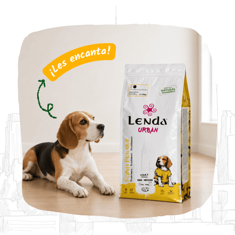 Lenda Urban Farm Flavour - Chicken