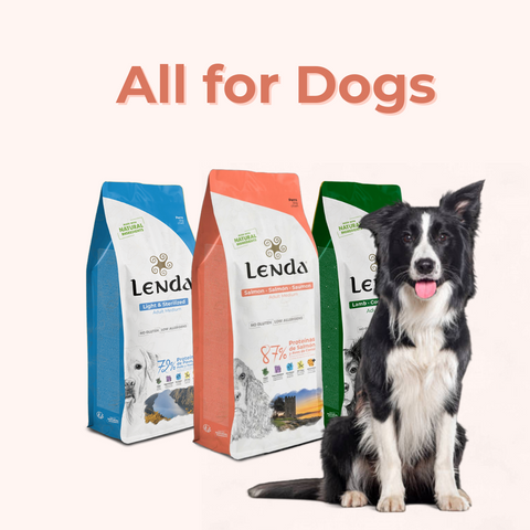 Alimento natural para perros
