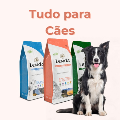 Alimento natural para perros