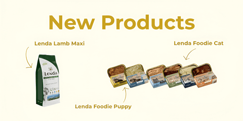 Banner nuevos productos Lenda Shop