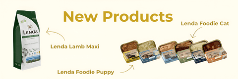 Banner nuevos productos Lenda Shop