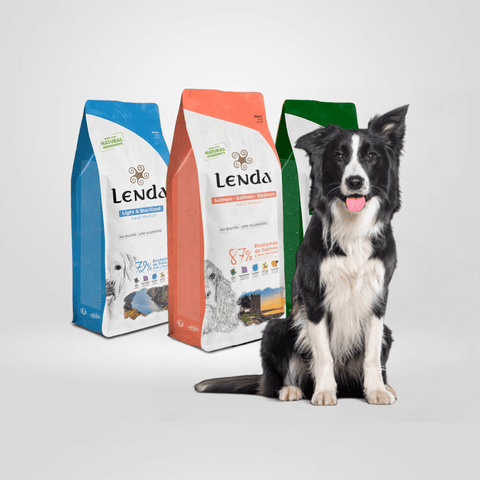 Comida natural para gatos Lenda