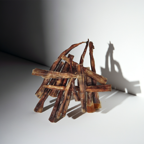 Stick Crujientes