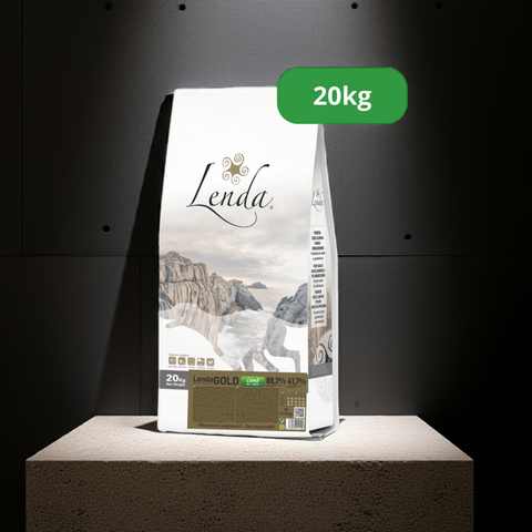 Lenda Lamb