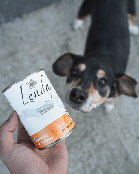 latas de comida para perros